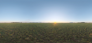 Bienvenidos a Fopsas,com